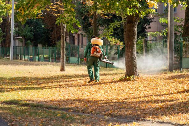 Best Commercial Pest Control Services  in Runnemede, NJ